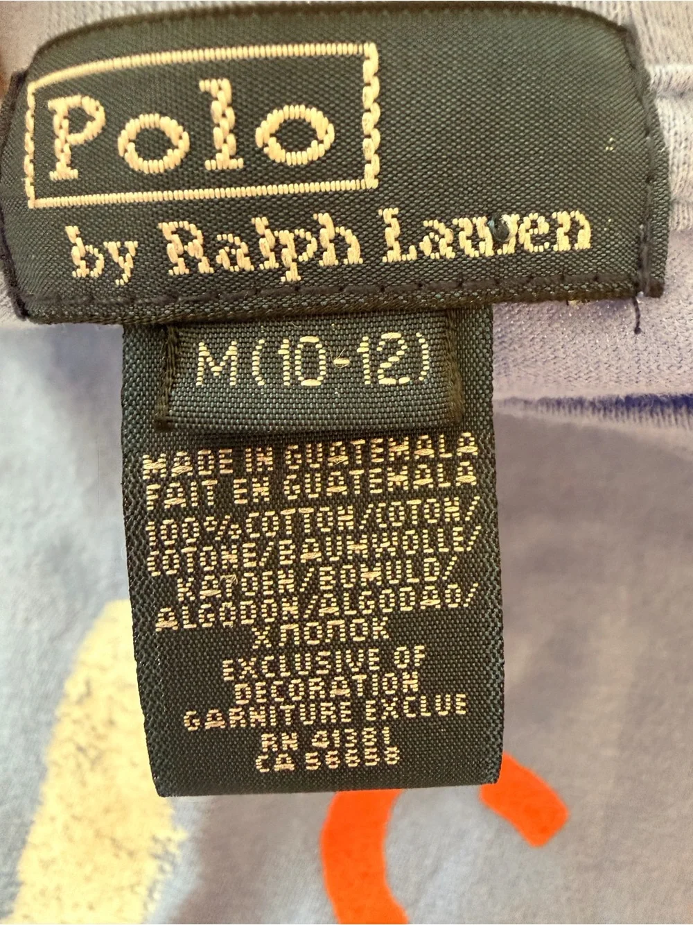 Polo by Ralph Lauren Long-Sleeve Graphic Tee - Light Blue